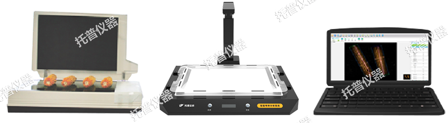 仪器 TPKZ-1-G.jpg